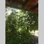 Irinis Сasa de vacaciones
