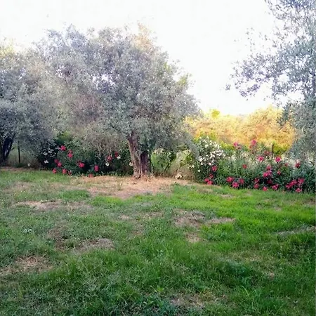 Irinis Holiday home