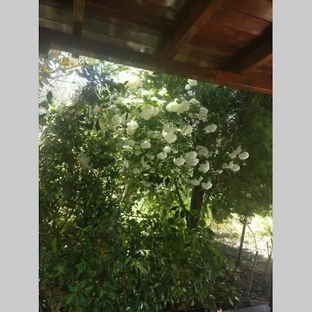 Irinis Casa de Férias