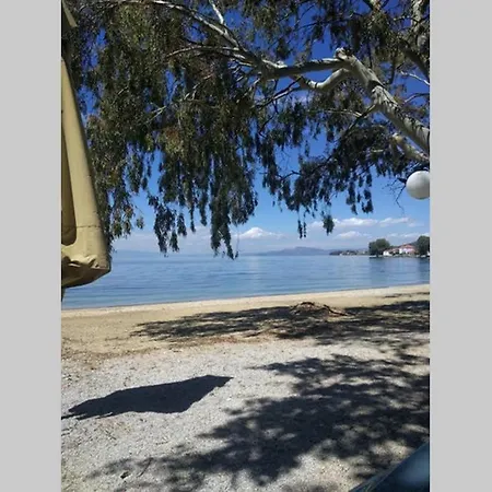 Irinis Дом отдыха