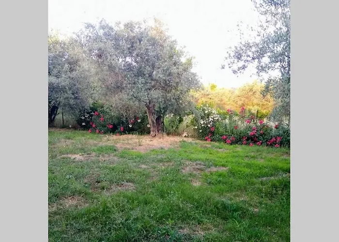 Irinis Case de vacanță