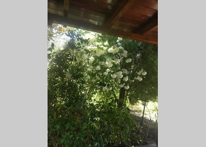 Irinis Case de vacanță