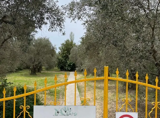 Tatil Evi Irinis Kala Nera